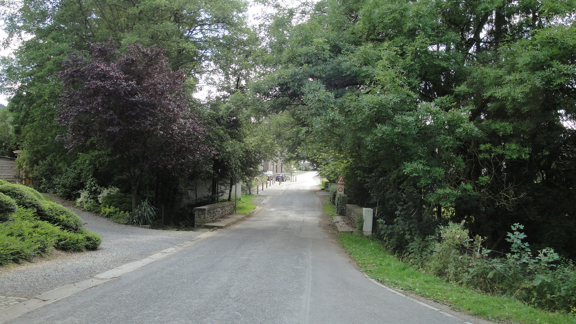 Vue