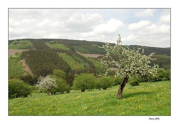 alain_xhauflaire@hotmail.com