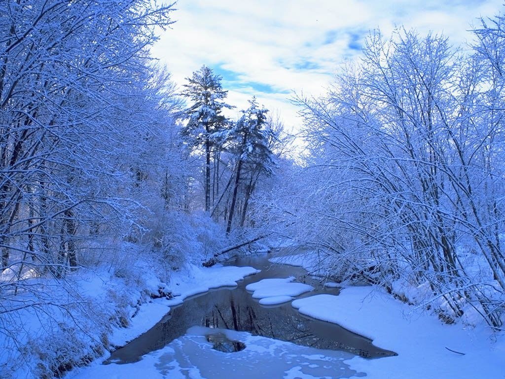 neige.66056.jpg